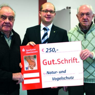 Nistmöglichkeiten Nistmöglichkeiten
